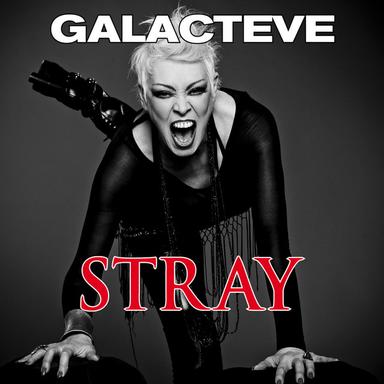 Stray