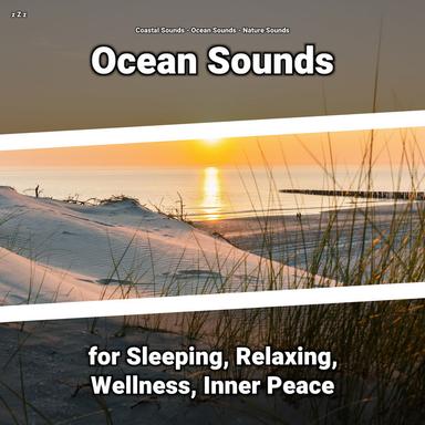 Sea Waves to Relax Your Body