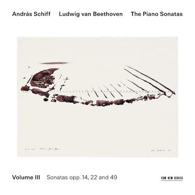 Piano Sonata No. 11 In B Flat Major, Op. 22: 2. Adagio con molto espressione - Live