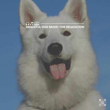 Home on Halloween Calming Music for Dogs, Pt. 12