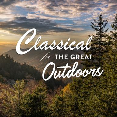 Double Concerto in A Minor, Op. 102: 2. Andante
