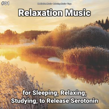 Relaxing Music Sleep Aid