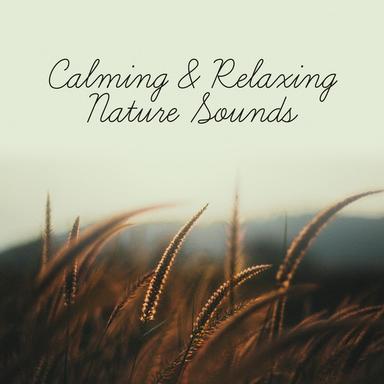 Peaceful Energy