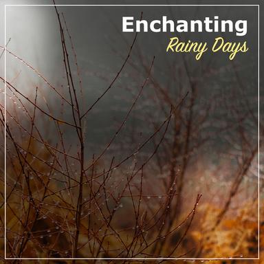 Ambient White Noise with Rain Drops