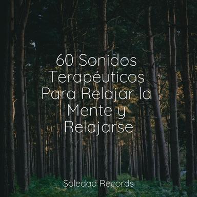 Hojas Revoloteando Hacia Abajo