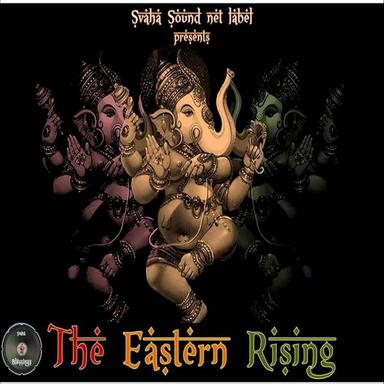 Saraswati Stepper