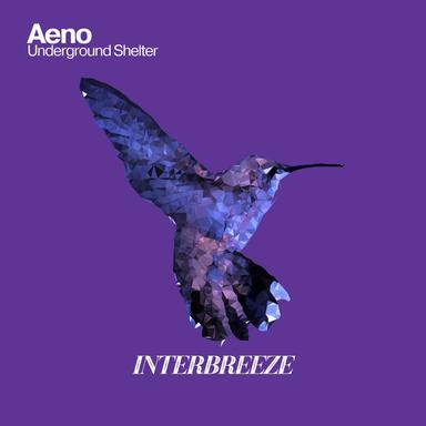 Underground Shelter - Original Mix