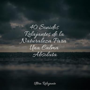 Pluma De Luna