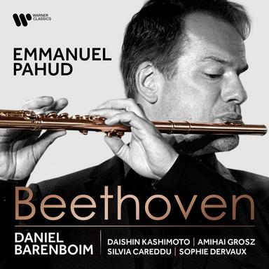 Beethoven: Duo for 2 Flutes in G Major, WoO 26: II. Minuetto quasi allegretto