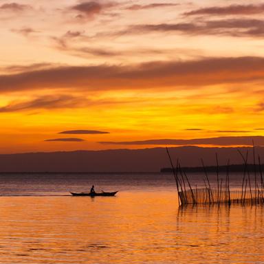 Melody of the Water