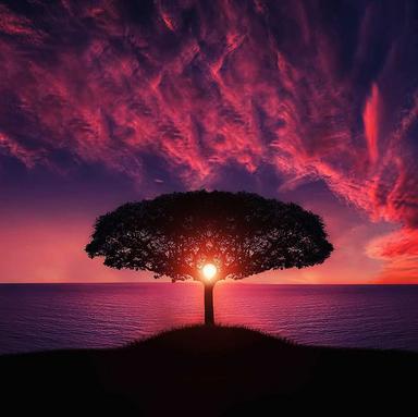 Meditative State of Mind