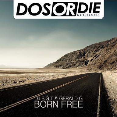 Born Free - Extend Mix