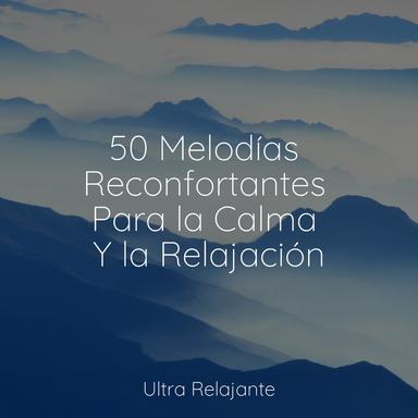 Viaje A La Relajación