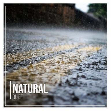 Light Summer Rain