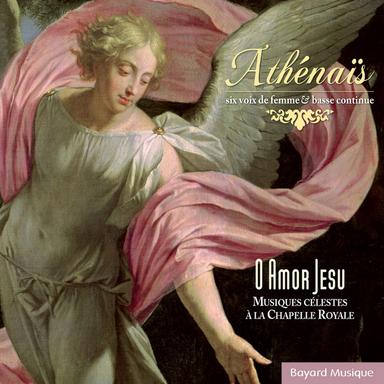 Grands motets, LWV 77: XIII. Salve Regina