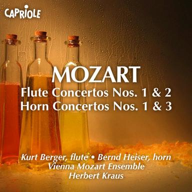Flute Concerto No. 1 in G Major, K. 313: II. Adagio ma non troppo