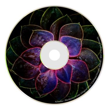 Blackberry Winter - Original mix