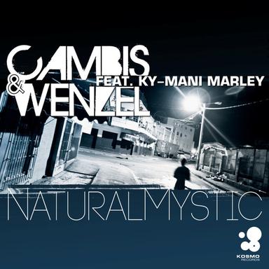Natural Mystic - Lissat & Voltaxx Dreadlock Remix