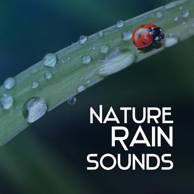 Music of Rain