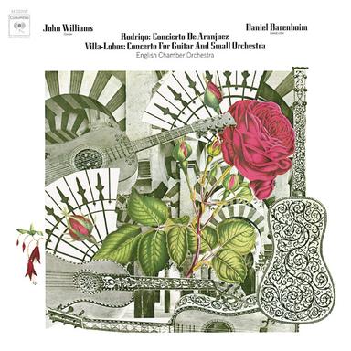 Concerto for Guitar and Small Orchestra: II. Andantino e andante - Cadenza