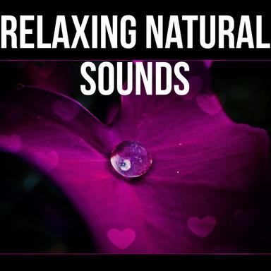 Ocean Waves