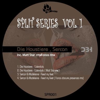 Calendula - Matt Star rmx