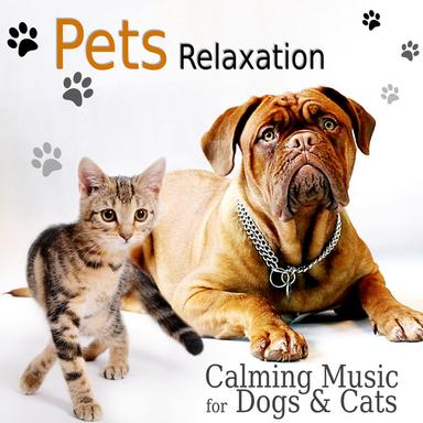 Animal Wellness