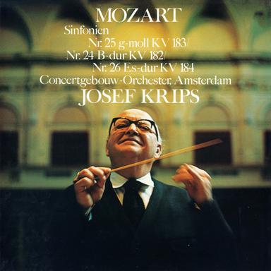 Symphony No. 25 in G Minor, K. 183: III. Menuetto - 2024 Remaster