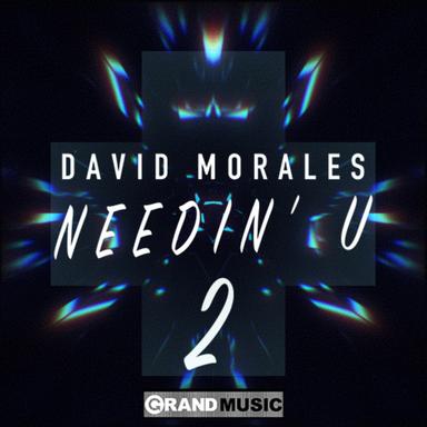 Needin' U (I Needed U) - Radio Mix