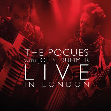 I Fought the Law (with Joe Strummer) - Live