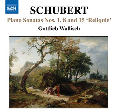 Piano Sonata No. 15 in C Major, D. 840, "Reliquie": II. Andante