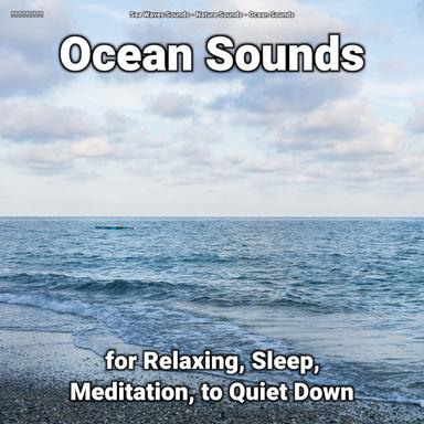 Ocean Sounds for Children