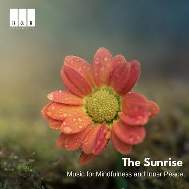 Guided Meditation