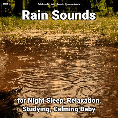 Ambient Rain to Study To