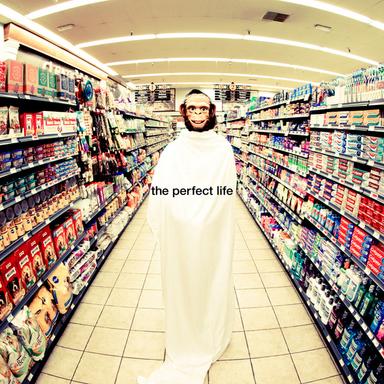 The Perfect Life - feat. Wayne Coyne