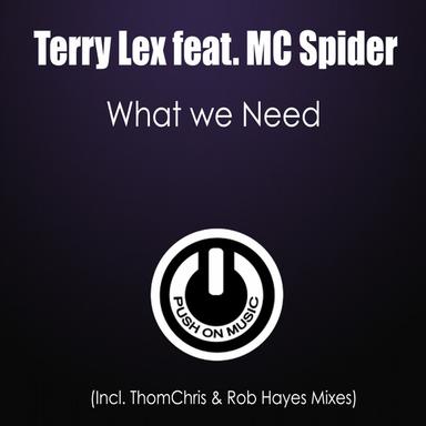 What We Need - Thomchris Vocal Club Mix