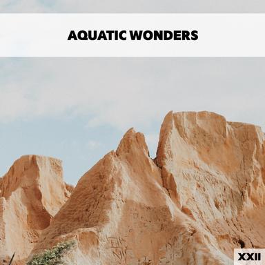 Absumere Hiatu - Motus VI