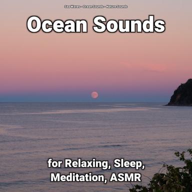 Ocean Noises