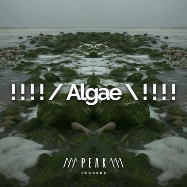 ! ! ! ! / Algae \ ! ! ! !