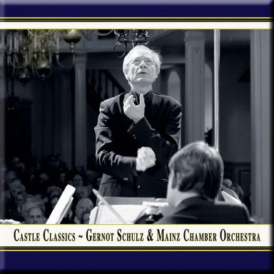 Symphony No. 29 in A Major, K. 201: II. Andante