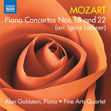 Piano Concerto No. 22 in E-Flat Major, K. 482 (Arr. for Piano, String Quartet & Double Bass by Ignaz Lachner): II. Andante