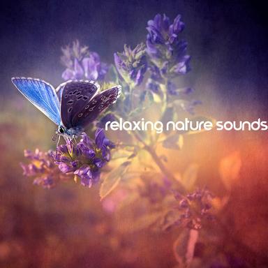 Relax Yourself