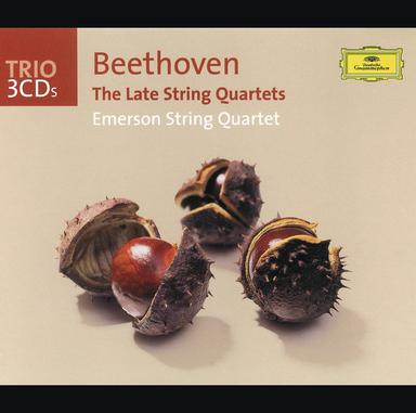 String Quartet No. 15 in A Minor, Op. 132: III. Molto adagio. Heiliger Dankgesang – Andante. Neue kraft fühlend