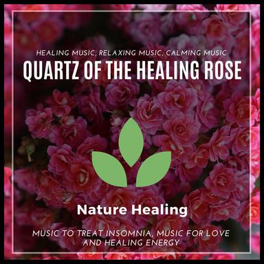 The Ultimate Healer - Original Mix