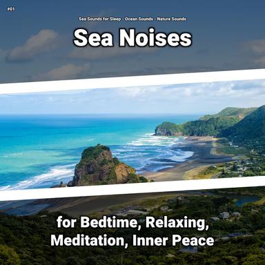 Ocean Sounds for Calming Baby