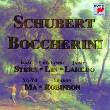 Quintet No. 5 in E Major for Two Violins, Viola and Two Violoncellos, Op. 13: III. Minuetto (con un poco di moto) - Trio