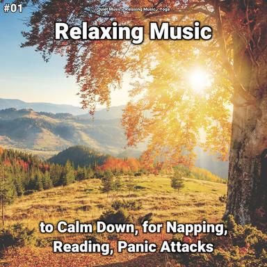 Soothing Music to Sleep To