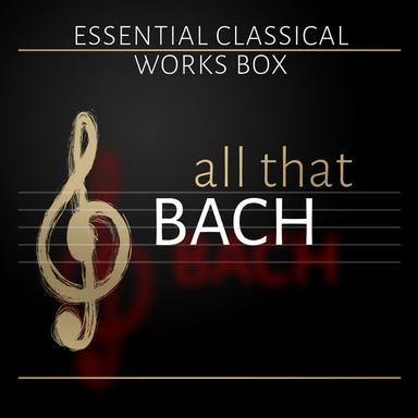 Violin Sonata No. 3 in E Major, BWV 1016: I. Adagio