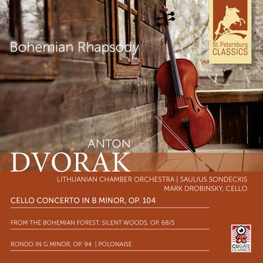 Cello Concerto in B Minor, Op. 104: II. Adagio ma non troppo