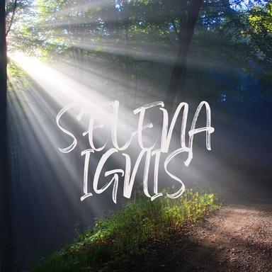 SI